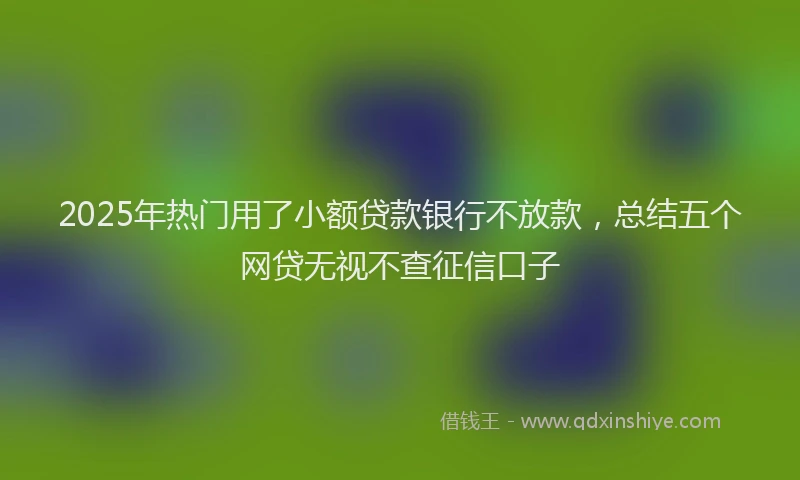 2025年热门用了小额贷款银行不放款，总结五个网贷无视不查征信口子