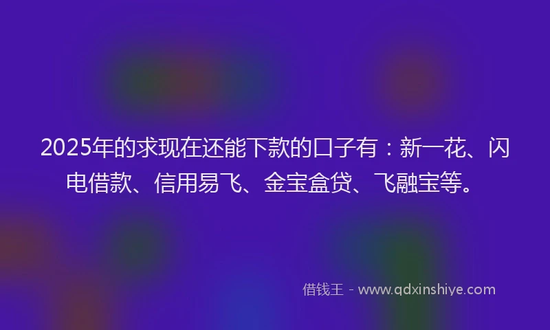 2025年的求现在还能下款的口子有：新一花、闪电借款、信用易飞、金宝盒贷、飞融宝等。
