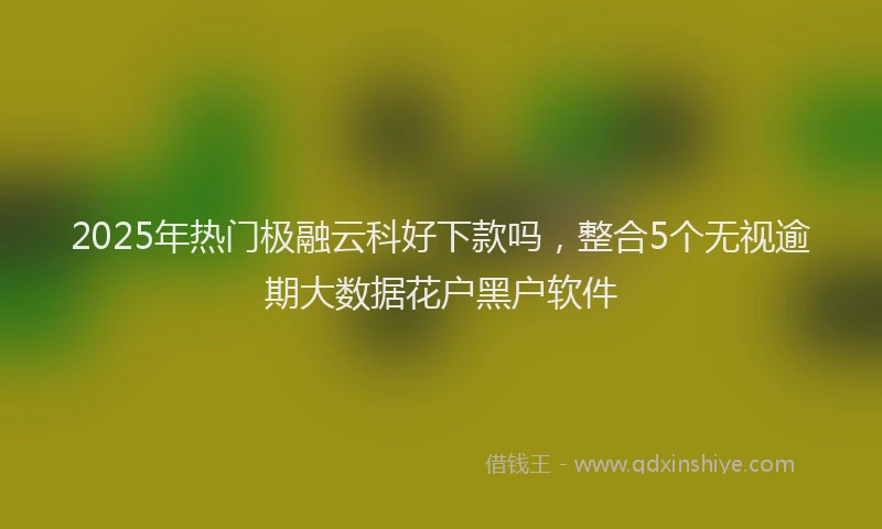 2025年热门极融云科好下款吗，整合5个无视逾期大数据花户黑户软件