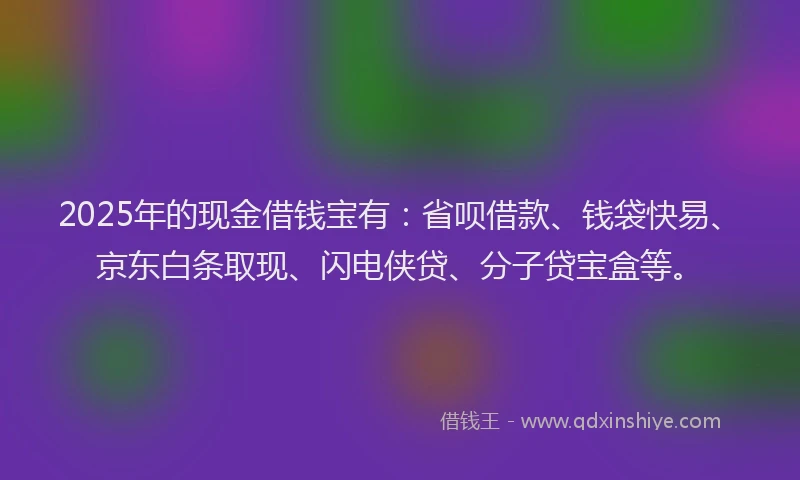 2025年的现金借钱宝有：省呗借款、钱袋快易、京东白条取现、闪电侠贷、分子贷宝盒等。