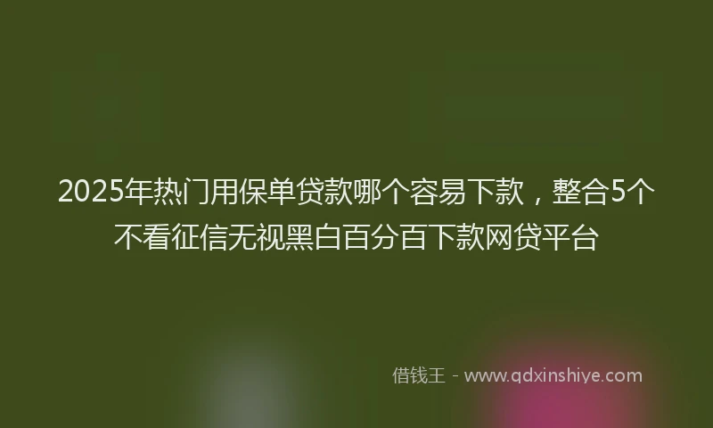 2025年热门用保单贷款哪个容易下款，整合5个不看征信无视黑白百分百下款网贷平台