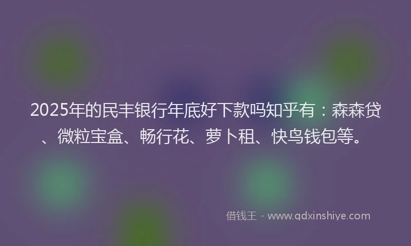 2025年的民丰银行年底好下款吗知乎有：森森贷、微粒宝盒、畅行花、萝卜租、快鸟钱包等。
