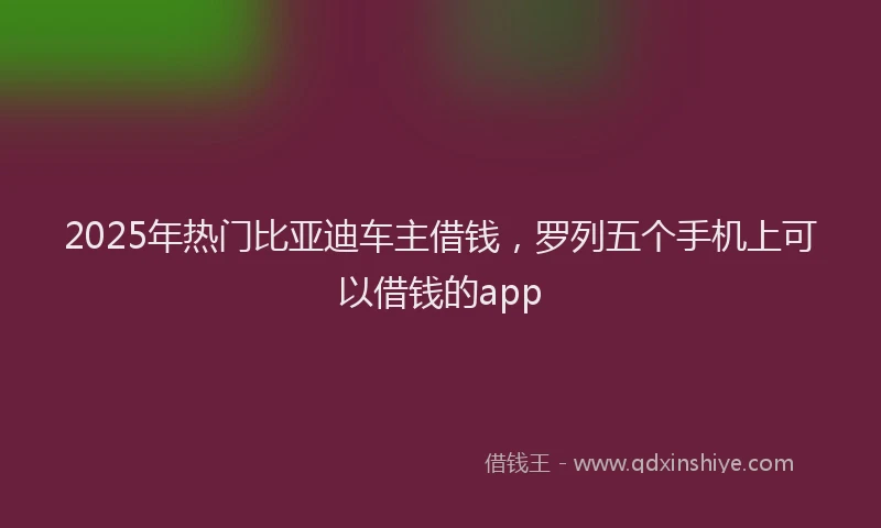 2025年热门比亚迪车主借钱，罗列五个手机上可以借钱的app