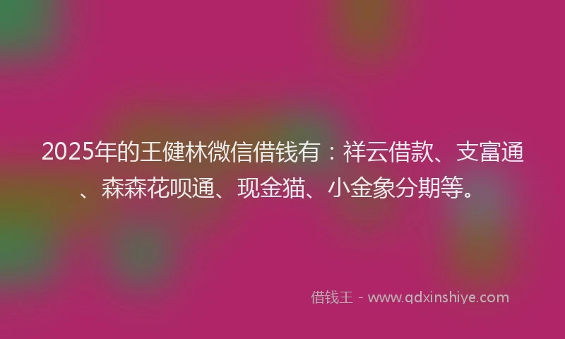 2025年的王健林微信借钱有：祥云借款、支富通、森森花呗通、现金猫、小金象分期等。