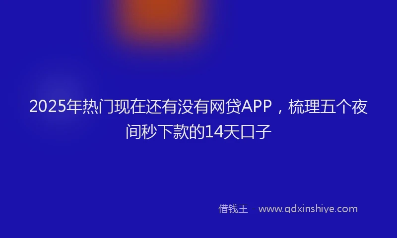 2025年热门现在还有没有网贷APP，梳理五个夜间秒下款的14天口子