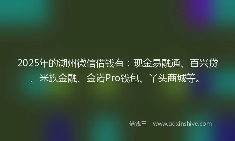 2025年的湖州微信借钱有：现金易融通、百兴贷、米族金融、金诺Pro钱包、丫头商城等。