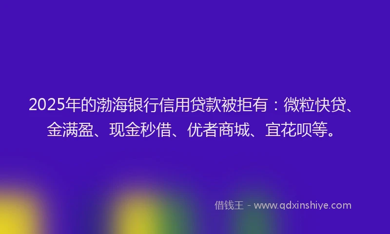 2025年的渤海银行信用贷款被拒有：微粒快贷、金满盈、现金秒借、优者商城、宜花呗等。