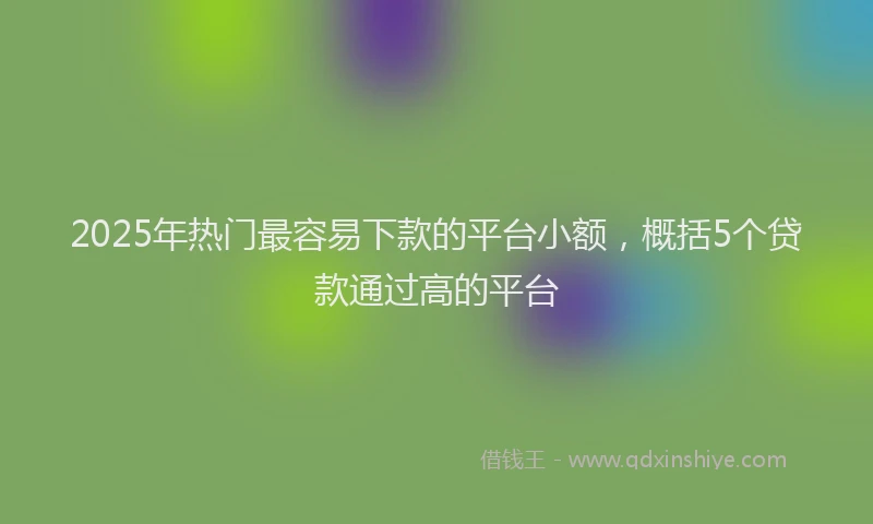 2025年热门最容易下款的平台小额，概括5个贷款通过高的平台