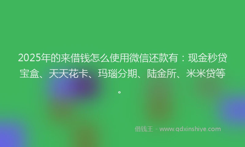 2025年的来借钱怎么使用微信还款有：现金秒贷宝盒、天天花卡、玛瑙分期、陆金所、米米贷等。
