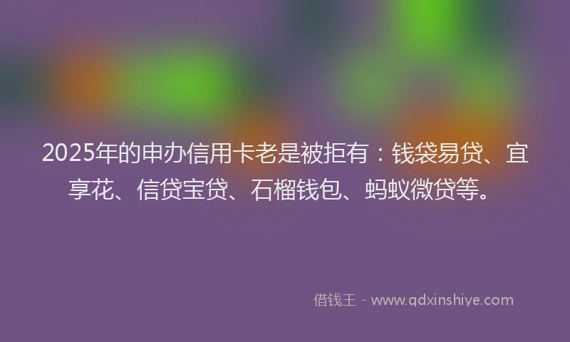 2025年的申办信用卡老是被拒有：钱袋易贷、宜享花、信贷宝贷、石榴钱包、蚂蚁微贷等。