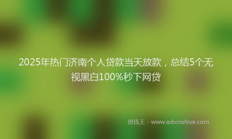 2025年热门济南个人贷款当天放款，总结5个无视黑白100%秒下网贷