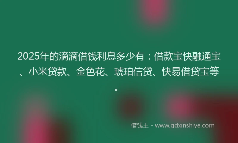 2025年的滴滴借钱利息多少有：借款宝快融通宝、小米贷款、金色花、琥珀信贷、快易借贷宝等。