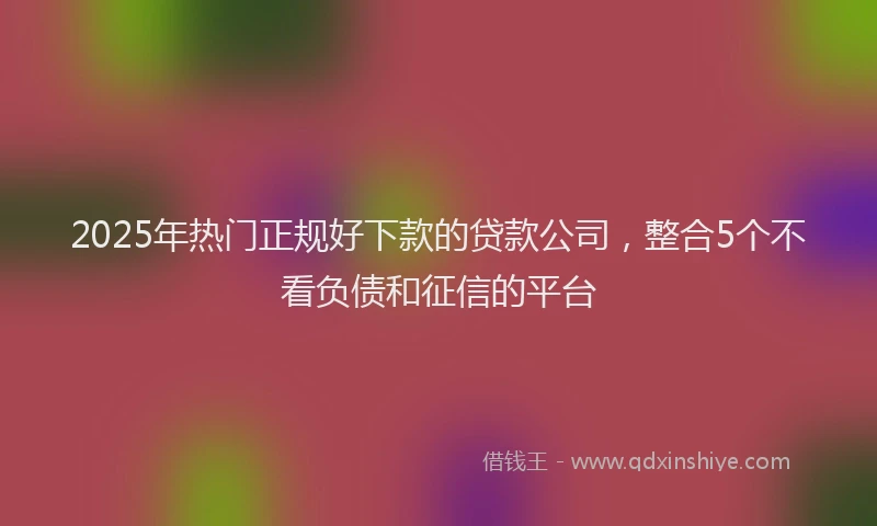2025年热门正规好下款的贷款公司，整合5个不看负债和征信的平台