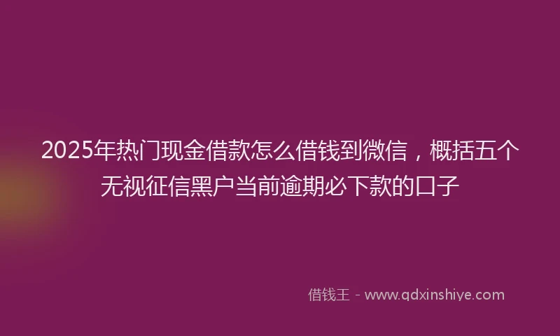 2025年热门现金借款怎么借钱到微信，概括五个无视征信黑户当前逾期必下款的口子