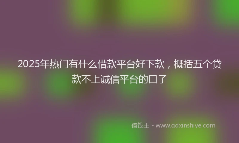 2025年热门有什么借款平台好下款，概括五个贷款不上诚信平台的口子