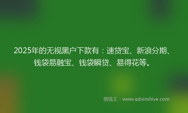 2025年的无视黑户下款有：速贷宝、新浪分期、钱袋易融宝、钱袋瞬贷、易得花等。