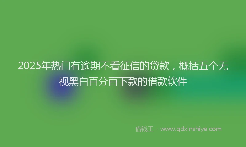 2025年热门有逾期不看征信的贷款，概括五个无视黑白百分百下款的借款软件