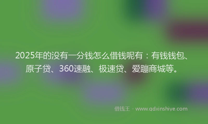 2025年的没有一分钱怎么借钱呢有：有钱钱包、原子贷、360速融、极速贷、爱蹦商城等。