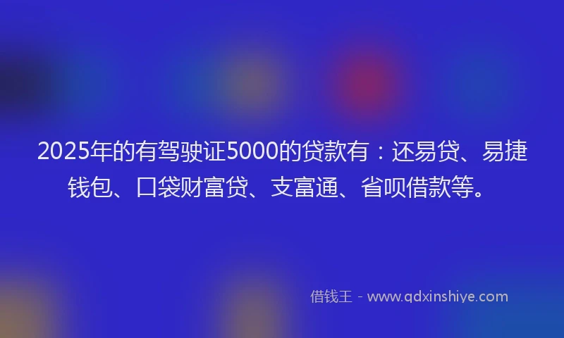 2025年的有驾驶证5000的贷款有：还易贷、易捷钱包、口袋财富贷、支富通、省呗借款等。