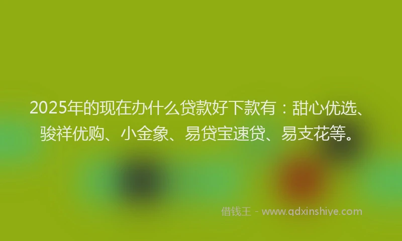 2025年的现在办什么贷款好下款有：甜心优选、骏祥优购、小金象、易贷宝速贷、易支花等。