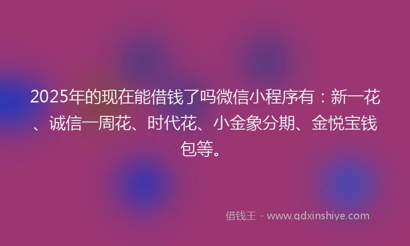 2025年的现在能借钱了吗微信小程序有：新一花、诚信一周花、时代花、小金象分期、金悦宝钱包等。