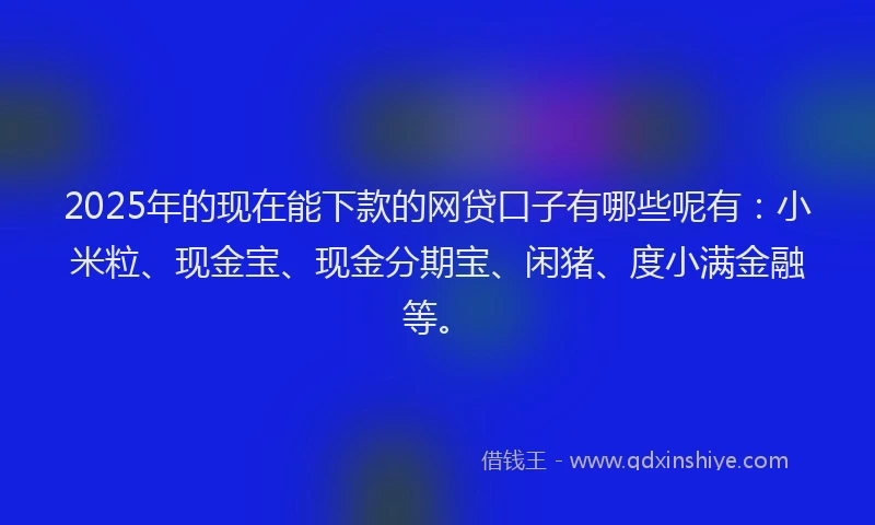 2025年的现在能下款的网贷口子有哪些呢有：小米粒、现金宝、现金分期宝、闲猪、度小满金融等。