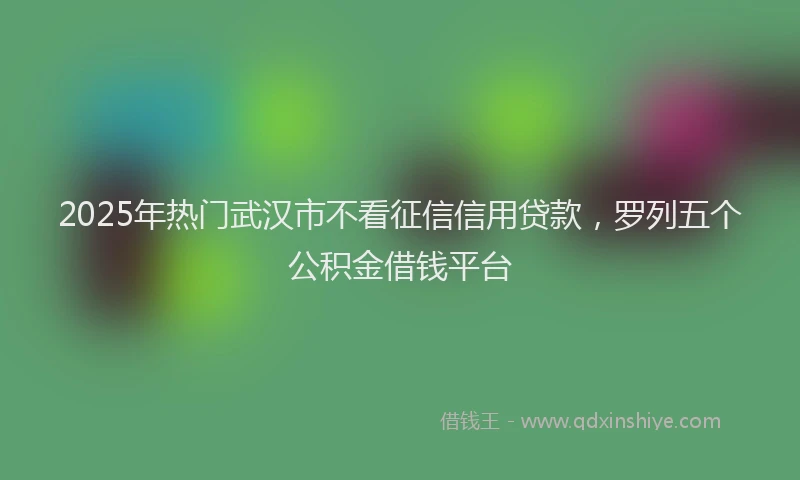 2025年热门武汉市不看征信信用贷款，罗列五个公积金借钱平台