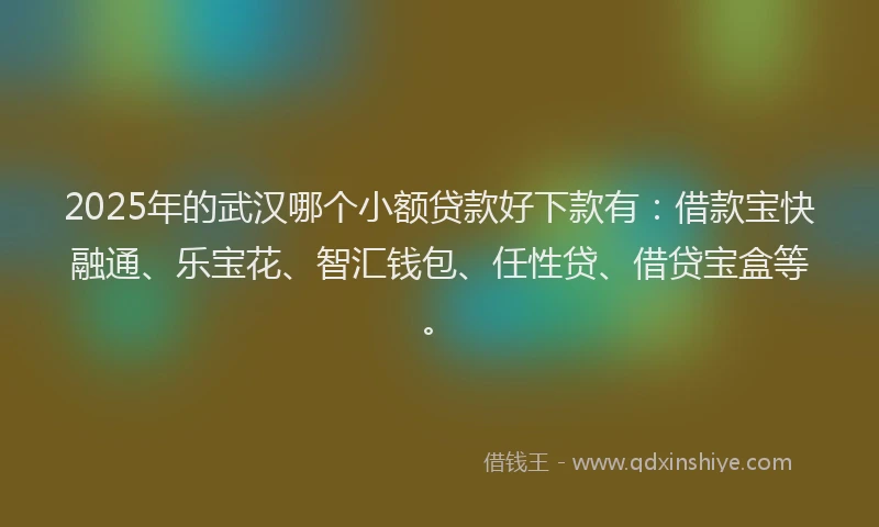 2025年的武汉哪个小额贷款好下款有：借款宝快融通、乐宝花、智汇钱包、任性贷、借贷宝盒等。