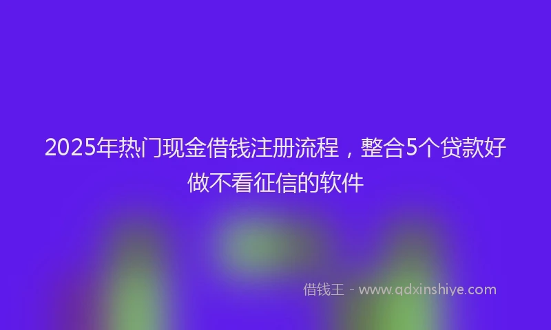 2025年热门现金借钱注册流程，整合5个贷款好做不看征信的软件