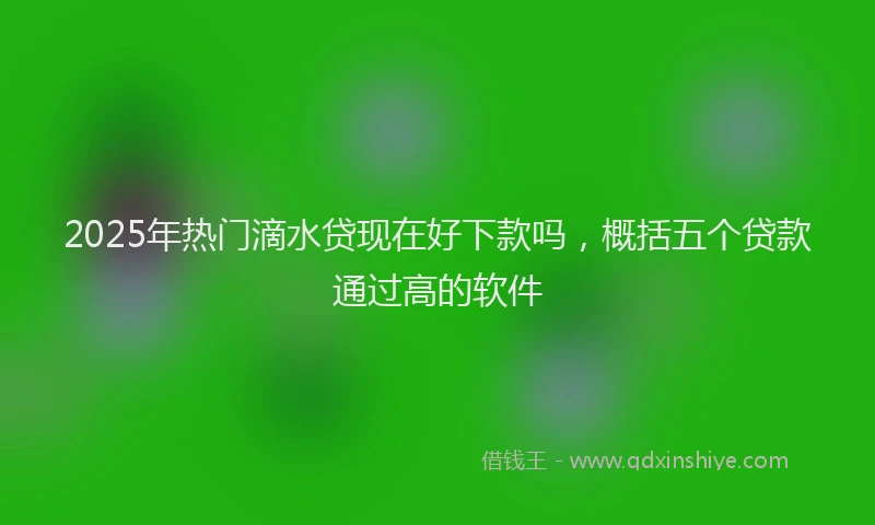 2025年热门滴水贷现在好下款吗，概括五个贷款通过高的软件