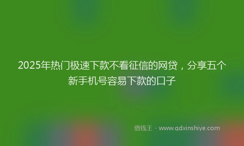 2025年热门极速下款不看征信的网贷，分享五个新手机号容易下款的口子