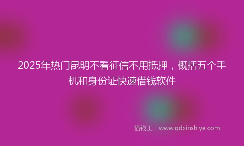 2025年热门昆明不看征信不用抵押，概括五个手机和身份证快速借钱软件