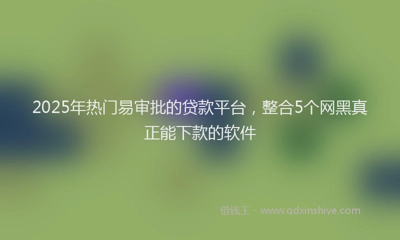 2025年热门易审批的贷款平台，整合5个网黑真正能下款的软件