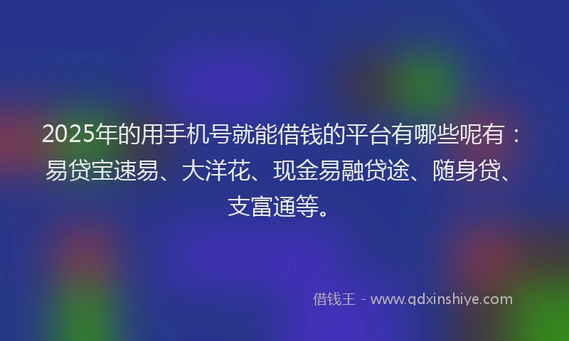 2025年的用手机号就能借钱的平台有哪些呢有：易贷宝速易、大洋花、现金易融贷途、随身贷、支富通等。
