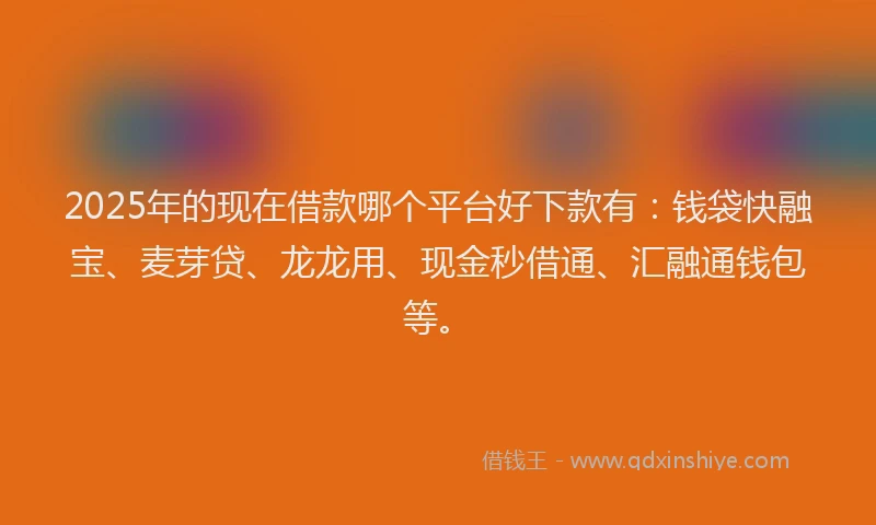 2025年的现在借款哪个平台好下款有：钱袋快融宝、麦芽贷、龙龙用、现金秒借通、汇融通钱包等。