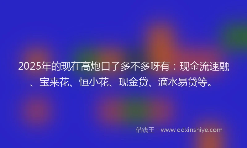 2025年的现在高炮口子多不多呀有：现金流速融、宝来花、恒小花、现金贷、滴水易贷等。