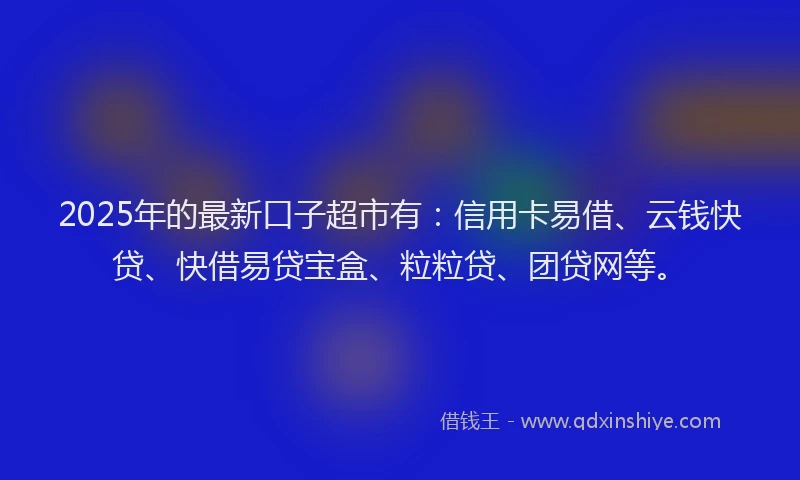 2025年的最新口子超市有：信用卡易借、云钱快贷、快借易贷宝盒、粒粒贷、团贷网等。