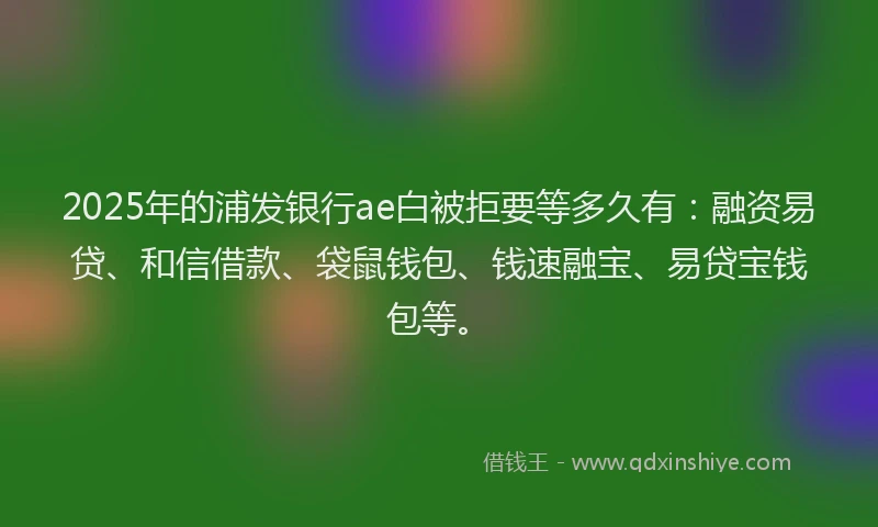 2025年的浦发银行ae白被拒要等多久有：融资易贷、和信借款、袋鼠钱包、钱速融宝、易贷宝钱包等。