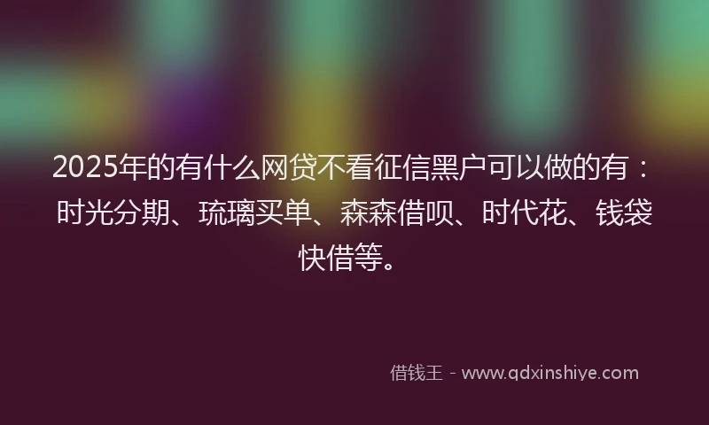 2025年的有什么网贷不看征信黑户可以做的有：时光分期、琉璃买单、森森借呗、时代花、钱袋快借等。