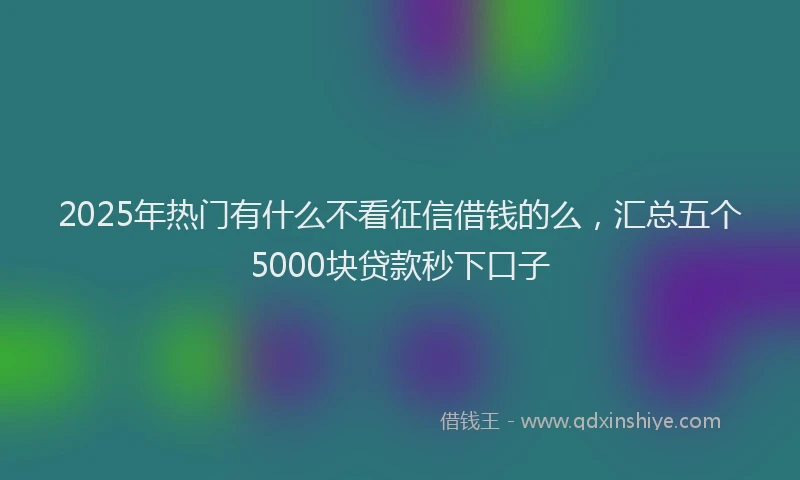 2025年热门有什么不看征信借钱的么，汇总五个5000块贷款秒下口子