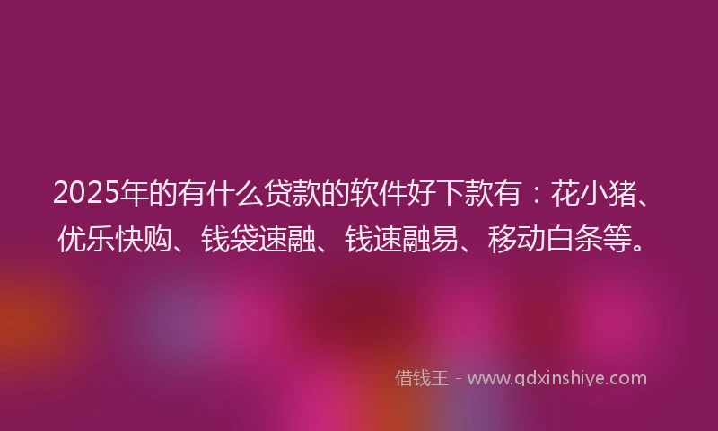 2025年的有什么贷款的软件好下款有：花小猪、优乐快购、钱袋速融、钱速融易、移动白条等。