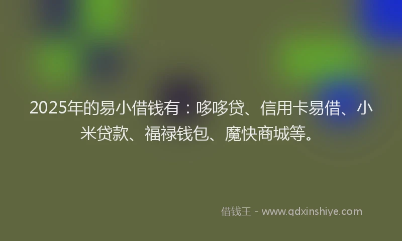 2025年的易小借钱有：哆哆贷、信用卡易借、小米贷款、福禄钱包、魔快商城等。