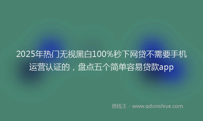 2025年热门无视黑白100%秒下网贷不需要手机运营认证的，盘点五个简单容易贷款app