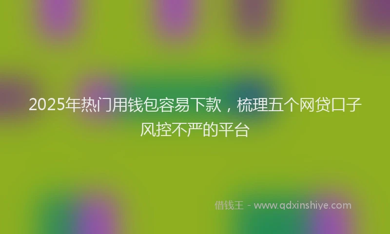 2025年热门用钱包容易下款，梳理五个网贷口子风控不严的平台