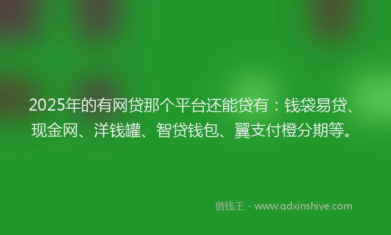 2025年的有网贷那个平台还能贷有：钱袋易贷、现金网、洋钱罐、智贷钱包、翼支付橙分期等。