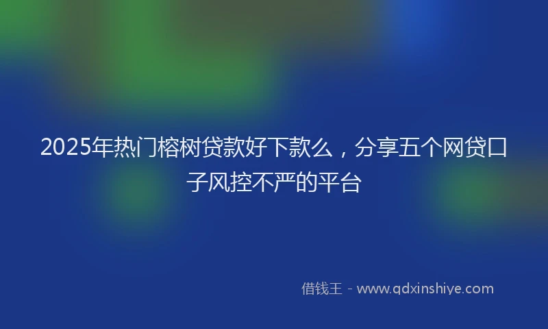 2025年热门榕树贷款好下款么，分享五个网贷口子风控不严的平台