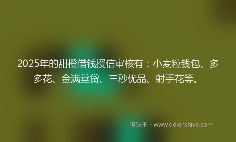 2025年的甜橙借钱授信审核有：小麦粒钱包、多多花、金满堂贷、三秒优品、射手花等。