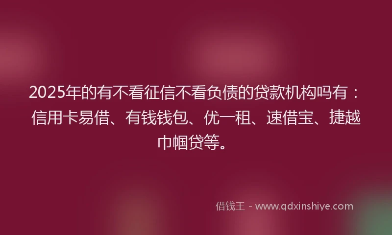 2025年的有不看征信不看负债的贷款机构吗有：信用卡易借、有钱钱包、优一租、速借宝、捷越巾帼贷等。
