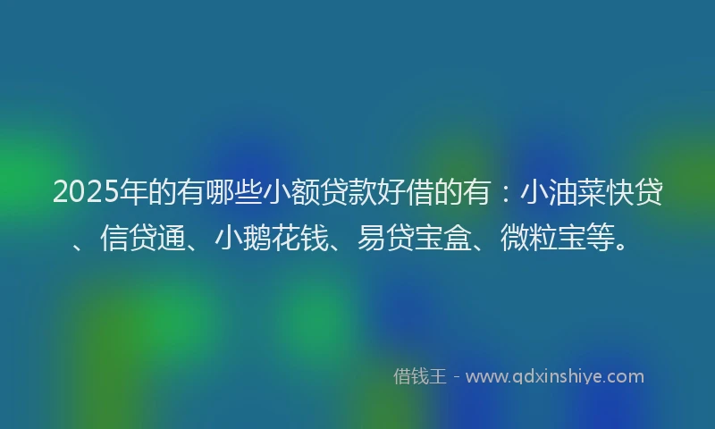 2025年的有哪些小额贷款好借的有：小油菜快贷、信贷通、小鹅花钱、易贷宝盒、微粒宝等。