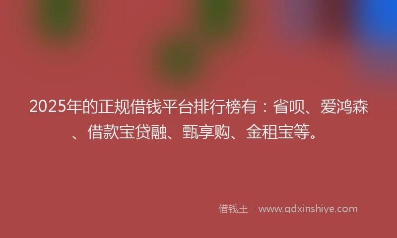 2025年的正规借钱平台排行榜有：省呗、爱鸿森、借款宝贷融、甄享购、金租宝等。